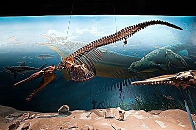 华纳大乱斗游戏《Multiversus》实机首爆 2022年发售、免费游玩